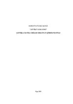 Referāts 'Lietišķa cilvēka ārējais izskats un ģērbšanās stils', 1.