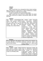 Referāts 'Fiziskās aktivitātes (3 līmeņi)', 3.