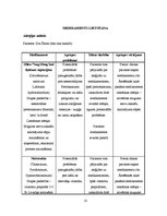 Prakses atskaite 'Aprūpes gadījuma apraksts neiroloģijā', 10.