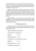 Prakses atskaite 'Prakses atskaite bankā', 21.