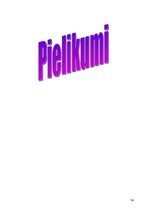 Prakses atskaite 'Nacionālais rehabilitācijas centrs "Vaivari"', 36.