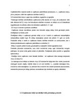 Prakses atskaite 'Kvalifikācijas prakses atskaite', 5.