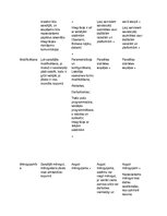 Konspekts 'Digitālā transformācija', 4.