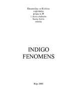 Referāts 'Indigo fenomens', 1.