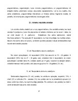 Referāts 'Programmēšana', 27.