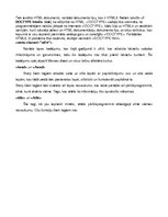 Referāts 'Programmēšana', 42.