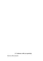 Biznesa plāns 'SIA "Šampinjons"', 4.