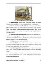 Paraugs 'Eiropas globālās pozicionēšanas sistēma', 15.