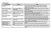 Konspekts 'Audita plāns', 1.