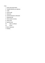 Biznesa plāns 'Izsolām kopā', 2.