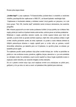 Biznesa plāns 'Izsolām kopā', 4.