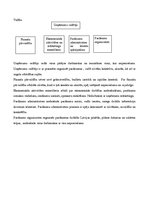 Biznesa plāns 'Izsolām kopā', 6.