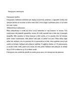 Biznesa plāns 'Izsolām kopā', 9.