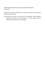 Biznesa plāns 'Izsolām kopā', 12.