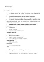 Biznesa plāns 'Izsolām kopā', 13.