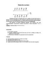 Konspekts 'Datortīklu topoloģijas', 3.