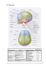 Referāts 'Vecmātes-studentes rokasgrāmata', 6.
