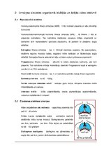 Referāts 'Vecmātes-studentes rokasgrāmata', 9.