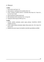 Referāts 'Vecmātes-studentes rokasgrāmata', 22.