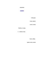 Konspekts 'Kultūras teorijas', 1.