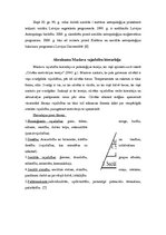 Konspekts 'Kultūras teorijas', 3.