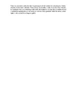 Paraugs 'Vārdu krājums', 7.