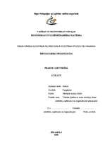 Prakses atskaite 'Prakse lietvedībā', 1.