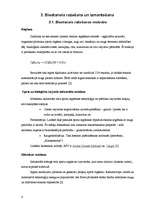 Referāts 'Bioetanols un biodegvielas tirgus Latvijā', 6.