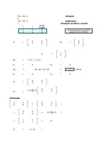 Konspekts 'Dubultās matricas kalkulators - matricu metode', 1.