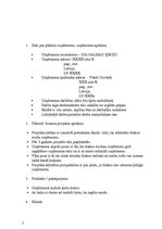 Biznesa plāns 'Biznesa plāns', 3.