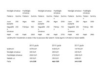 Biznesa plāns 'Biznesa plāns', 7.