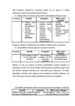 Referāts 'Finanšu pakalpojumu salīdzinājums', 6.