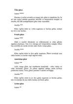 Referāts 'Glāzes', 3.