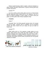 Referāts 'Glāzes', 4.