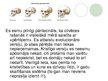Referāts 'Cilvēces rašanās - evolūcija', 2.