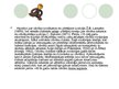Referāts 'Cilvēces rašanās - evolūcija', 3.