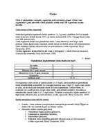 Konspekts 'Cinks', 1.