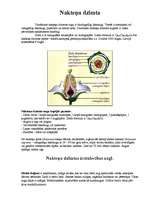 Referāts 'Nakteņu dzimta', 1.