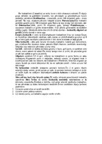 Referāts 'Krokodili', 3.