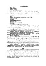 Referāts 'Krokodili', 11.