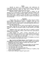 Referāts 'Krokodili', 12.