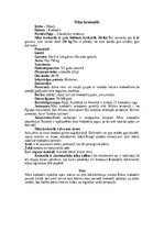 Referāts 'Krokodili', 13.