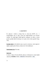 Paraugs 'Psiholoģiskā treniņa tehnikas - Treninga programma', 12.