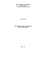 Referāts 'Ceļu satiksmes drošība, tās uzlabošanas projekti Līvānu pilsētā ', 1.