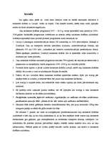 Referāts 'Ceļu satiksmes drošība, tās uzlabošanas projekti Līvānu pilsētā ', 3.