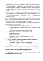 Referāts 'Ceļu satiksmes drošība, tās uzlabošanas projekti Līvānu pilsētā ', 5.