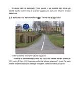 Referāts 'Ceļu satiksmes drošība, tās uzlabošanas projekti Līvānu pilsētā ', 14.