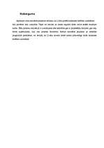 Referāts 'Ceļu satiksmes drošība, tās uzlabošanas projekti Līvānu pilsētā ', 15.