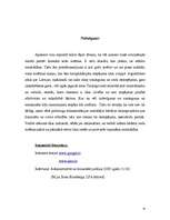 Referāts 'Brīvības atņemšana, sodu izpilde un cietumu attīstības tendences Eiropā', 16.