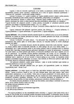 Referāts 'Līgumi', 1.